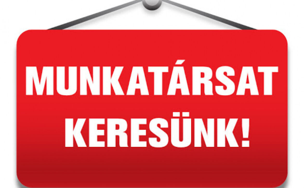 98fdc3265bfa7288cc6112ee2171482a_XL