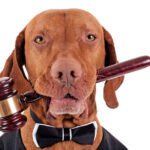 LAKOSSÁGI TÁJÉKOZTATÁS AZ EBTARTÁS SZABÁLYAIRÓL